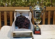 ... the first trophy is an award for this huge Autumn Royal grape of 4,2 kg!