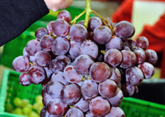 Red Globe grapes.