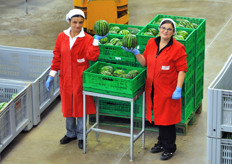 At the time of our visit, some quantities of baby watermelons were still available.