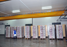 The pallets to be delivered are put in a controlled temperature chamber.