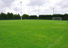 A soccer field for the free time!