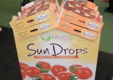 Sundrops of Mucci