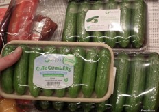 Cutecumber smaller then the mini cucumber