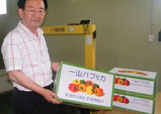 Ichiyama Paprika for Class B and C brand