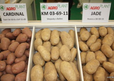 Potato varieties from Agro Plant.