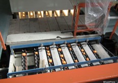 The Or clementines are screened by the machine, where they can see if the fruit from the inside is good as well. poor quality is thrown out and goes to processed industry. The others get a label and will be packed in boxes.