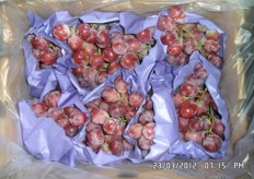 The fruit gamma of For Gida includes grapes