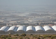 Viewed from the slopes of the Sierra Nevada the plastic of greenhouse cultivation in Almería stretches into the distance. Established over the past 30 years to take advantage of the warm climate and water proffered by the mountains, the horticulture here is, literally, visible from space.