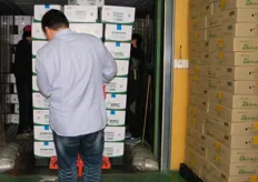 Mr.Kim Hyung-Chul busy loading the Enoki mushrooms, Sales Director of Green Co.