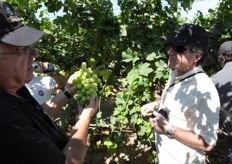 Shachar Karniel, left, chief breeder for the ARD program, displays a bunch of ARRA 15 grapes.