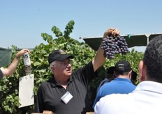 Shachar Karniel, head breeder for the ARD program, holds a bunch of black grapes for a group of attendees to see.