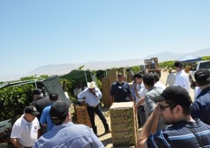 Participants observe how ARRA grapes are packed in-field at the Giumarra Vineyards in Bakersfield, California.