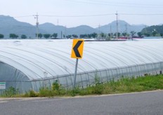 one of the vinyl greenhouses in the area.. the farms are growing watermelons too