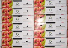 "Il Primo," GNT´s brand in exporting strawberries"