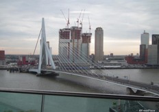 View for the seminar conference room over the Erasmus Bridge.