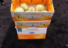 The CantaBella melon from Timco, a C.H. Robinson company, features a smooth skin. The new variety is already drawing buzz.
