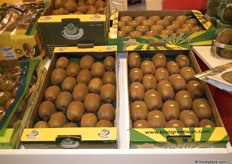 Portuguese kiwi's. Big green ones, and the gold variety at the top