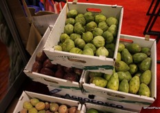 Tomatillos and prickly pears.