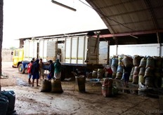 Arrival at the Packinghouse, where the bags with nuts are unloaded from the trucks.