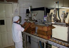 This machine seals the 40 lbs of nuts into a vacuum bag, which goes into the box.