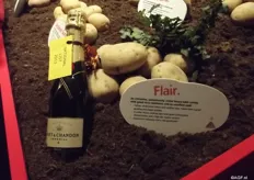 Another of the new varieties if Flair. This crumbly potato was grown by Oebele Spriensma, a grower joined to Agrico. Flair is mainly good for the Western European consumer with a traditional taste.