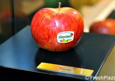 FreshPlaza dedicates this report to the rich variety of apples that have been exposed to Interpoma 2012.