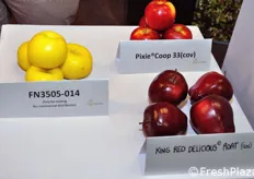 Other apple varieties displayed at the stand Escande.