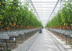 This is a greenhouse, where many things are automated.