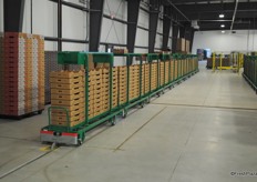 The greenhouse is full automatic. All trolleys are driven by a pulley system.