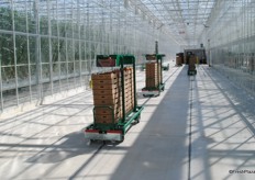 The greenhouse is full automatic. All trolleys are driven by a pulley system.