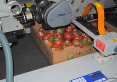 Labeling system for the tomatoes