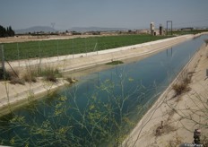 The transfer of rivers TAJO-SEGURA allows irrigation with the necessary amount of water for the whole area in Cartajena