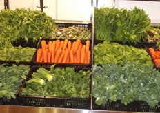 Miatech misting system to keep vegetables fresh while they are on the shelves.