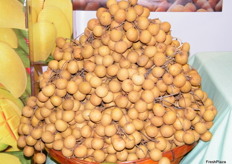 .. fresh longan, showcased by the Dept. of Agriculture, Thailand