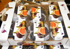 Premium figs form Aksun-Turkey