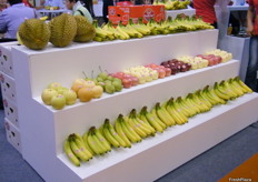 Goodfarmer´s (China) product during the exhibition