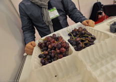 Nespak introduces a new soltion to pack and present grapes in the supermarket in stead of punnets or foam.