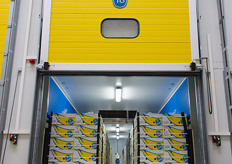 Chiquita: www.chiquita.nl