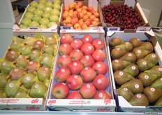 Fruit exhibited in the Copa Trading stand.