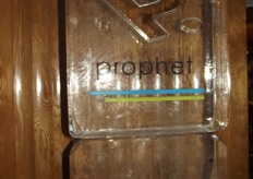 Prophet, one of the sponsors of the event had their logo in ice.