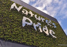 The logo with the natural background highlights the sustainability of the new building.