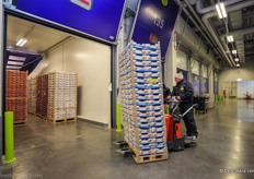 A batch of mangoes are driven into one of the 40 ripening chambers.