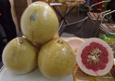 Pomelos from Guangfeng District Majia Pomelo Industrial Association.