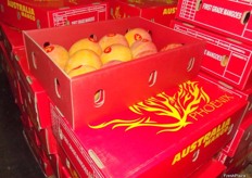 Lots of different brands of Australian mangoes.