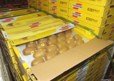 Good quality Chinese gold kiwis.