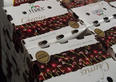 Mace cherries from Chile. This type of small packing is very popular with consumers who like to give cherries as a gift.