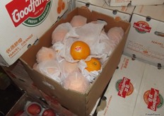 The first pallet of GanNan navel oranges arrived at Good Farmer that day. This is a very sweet orange. At this time of the year imported oranges are great and the domestic production is in demand. Good Farmer have had lots of good feedback on this variety of orange.