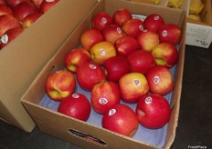 Pink Lady apples from Chile, redder than what what we are used to in Europe. In China the north of the country prefers big sizes while the south of the country goes for smaller sizes.