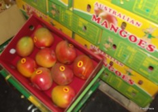 Australian mangoes, they sell for around 70 RB (9 Euro)on the market, a very expensive fruit.