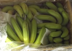 This not a market where you will find many bananas, they are sold at other markets in Beijing. I did see one box! Imported bananas are in demand as the domestic supply is not good, they are fetching a good price.